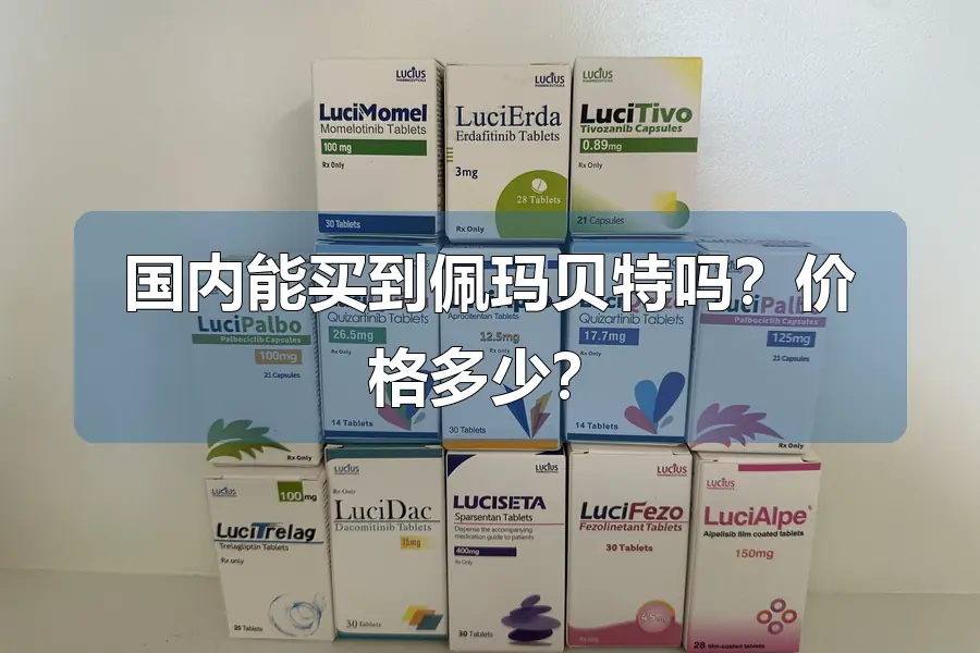 国内能买到佩玛贝特吗？价格多少？